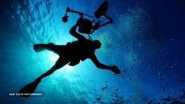 Nurkowanie w Egipcie w Marsa Alam z polskim instruktorem. Diving Pro. Wakacje w Egipcie 