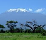 kenia kilimanjaro