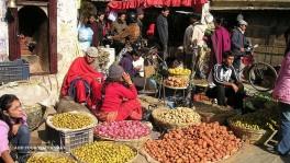 nepal rynek owoce