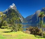 new-zealand-5