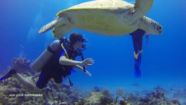 Diving in Dominican Republic Scuba Dominicana