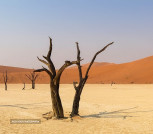 namibia 1