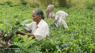 Sri Lanka wycieczki fakultatywne po polsku Aneta Zarańska